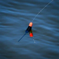 Preston Innovations F1 Dibber Pole Floats